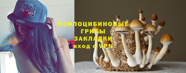 mdpv Алзамай