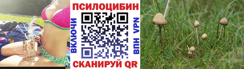 Псилоцибиновые грибы ЛСД Заинск