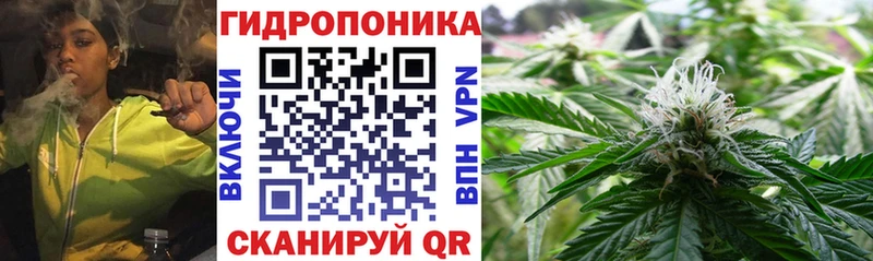 хочу наркоту  Заинск  Шишки марихуана THC 21% 